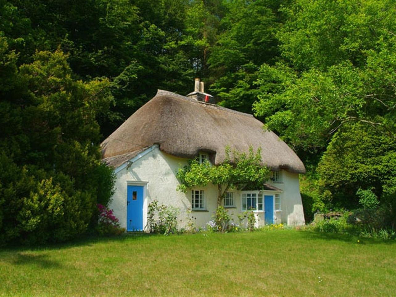 Lewdown Lew Quarry Cottage מראה חיצוני תמונה